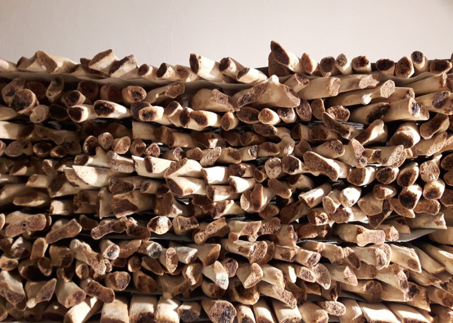 Art Work by Mina Amini